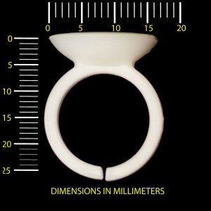 Lens Ring 3.jpg