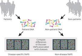 Genetic Research